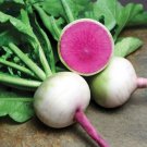 Organic Vegetable Watermelon Red Radish 200 +Seeds Turnip Radish Fresh Garden