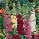 Summer Carnival Mix Hollyhock 100 Seeds Non Gmo Fresh Garden