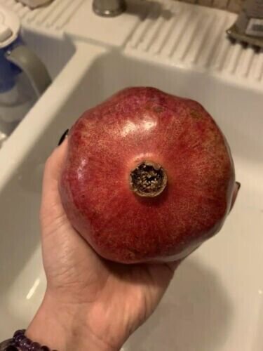 25 Pomegranate Tree Seeds Organic Nongmo Edible Fruit Tree Fresh Garden