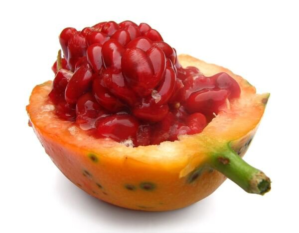 Passion Fruit Purple Granadilla Passiflora Edulis 10 Authentic Seeds Fresh Garden