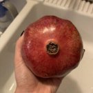 Pomegranate 25 Seeds Organic Nongmo Homegrown Edible Fruit Tree Grenadine Fresh Garden