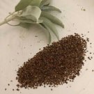 Salvia Apiana Seeds Sacred White Sage Grown Genuine Sustainable J Fresh Garden