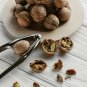 Nut Cracker. Nutcracker Walnut Plier Nut Opener Shell Cracker Remove Dry Fruits
