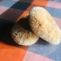 Coconut Husk fiber 2 brush 100% Eco Friendly Scrubbing,Cleaning,kitchen Dishwashing