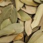 Dried CINNAMON 50 LEAVES 100% Organic Pure Ceylon Premium Quality Herbal Leaf