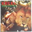 Excel / Seeking Refuge Capitol Promo Flat 1995