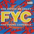 Fine Young Cannibals She Drives Me Crazy 12""