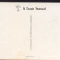 Harbour From The Lighthouse, Scarborough Postcard  DENNIS