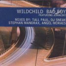 Wildchild Feat Jomalski - Bad Boy - UK  CD Single