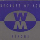 Wild Monkey - Because Of You - UK  CD Single
