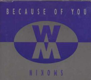 Wild Monkey - Because Of You - UK  CD Single