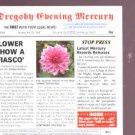 Various - Dregsby Evening Mercury - UK Promo CD