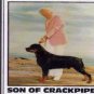 Son Of Crackpipe - The Benevolence Of Dogs - USA CD