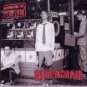 Silverchair - Anthem For The Year 2000 - UK Promo CD Single