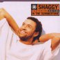 Shaggy ft Rayvon - In The Summertime - UK CD Single