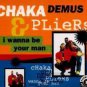 Chaka Demus & Pliers - I Wanna Be Your Man - UK CD Single