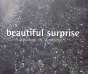Barclay/Smith - Beautiful Surprise - UK Promo CD Single