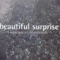 Barclay/Smith - Beautiful Surprise - UK Promo CD Single