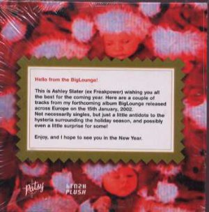 Ashley Slater - Something Stupid - UK  CD Single