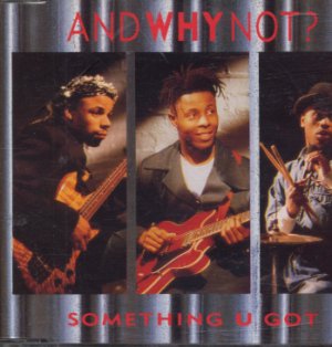 And Why Not? - Something You Got - UK  CD Single