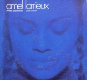 Amel Larrieux - Infinite Possibilites Sampler - UK Promo CD Single