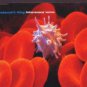 Adamski's Thing - Intravenous Venus - UK  CD Single