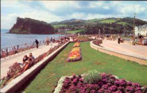The New Promenade Gardens TEIGNMOUTH  Postcard 1982