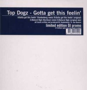 Top Dogz - Gotta Get This Feelin' Dutch Double 12" Single