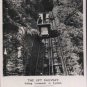 The Lift Railyway Linking Lynmouth to Lynton Postcard RP Harvey Barton