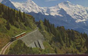 nterlaker Schynige Platte Bahn  Switzerland Postcard 1974