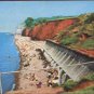 Blue Anchor Beach , Somerset Postcard 1982