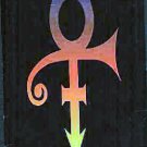Prince - Catalogue - 1995 NPG Store Volume II - USA   Memorabillia -   ex
