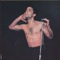 Prince - Postcard - Prince - Parade Tour - UK   Postcard - X195 ex
