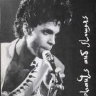 Prince - Elephants & Flowers  - # 8 - Holland   Fanzine -   m