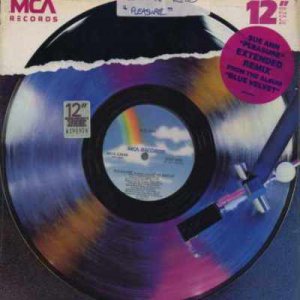 Sue Ann - Pleasure - UK   12" Single - MCA2346 ex/m