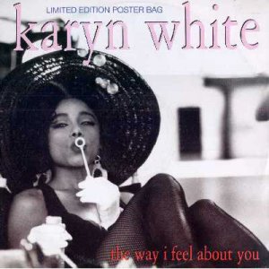 Karyn White - The Way I Feel About You (Posterbag) - UK   12" Single - W0073TW e