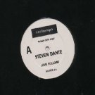 Steven Dante - Love Follows - UK Promo  12" Single - DANTER3 ex/ex