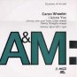 Caron Wheeler - I Adore You - UK Promo  12" Single - PERDJ7407 vg/ex