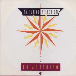 Natural Selection - Do Anything - UK   12" Single - A8724T ex/m