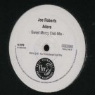 Joe Roberts - Adore - UK Promo  12" Single - FXDJJ240 m/m