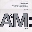 Barry White - I Only Want To Be With You - UK Promo  12" Single - AMPMDJ11 ex/ex