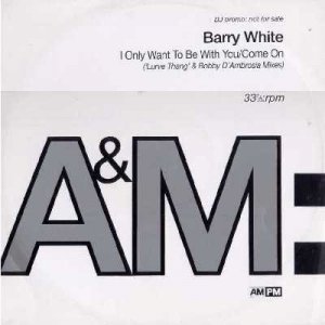 Barry White - I Only Want To Be With You - UK Promo  12" Single - AMPMDJ11 ex/ex