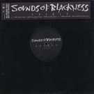 Sounds Of Blackness - Spirit - UK Promo  12" Single - AMPMDJ85 m/m