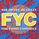 Fine Young Cannibals - She Drives Me Crazy - UK   12" Single - LONX199 ex/ex