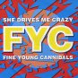 Fine Young Cannibals - She Drives Me Crazy - UK   12" Single - LONX199 ex/ex