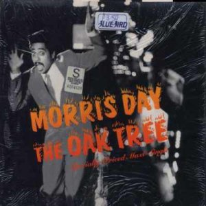 Morris Day - The Oak Tree - USA   12" Single - 20379-0 ex/m