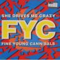 Fine Young Cannibals - She Drives Me Crazy - USA   12" Single - 23926-1 ex/ex