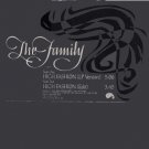 The Family - High Fashion - USA Promo  12" Single - PROA2395 vg/m