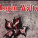 Chopin Waktzes - Vlado Perlemuter, Piano -  UK Vinyl LP