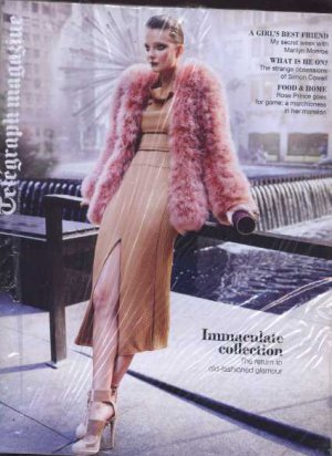 Telegraph Magazine 5 November 2011 Simon Cowell